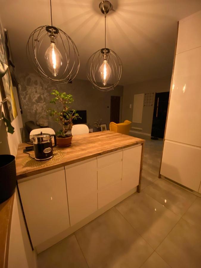 Apartament Centrum- Art&Design 코닌 외부 사진